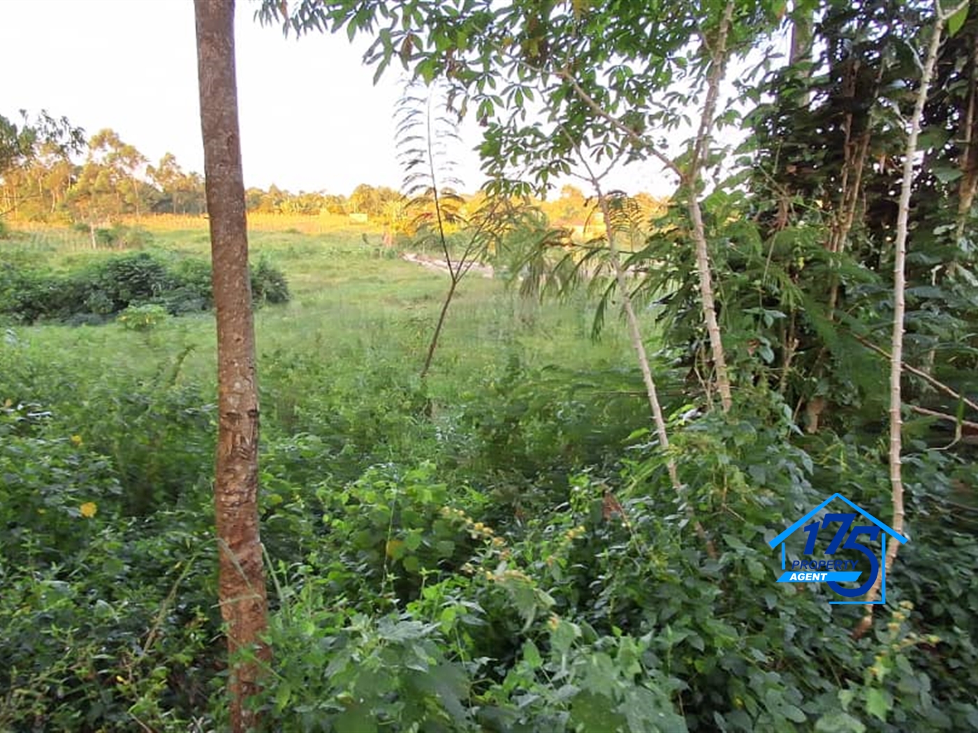 Residential Land for sale in Nkokonjeru Mukono