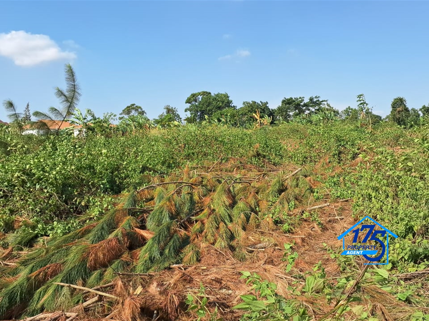 Agricultural Land for sale in Gayaza Wakiso