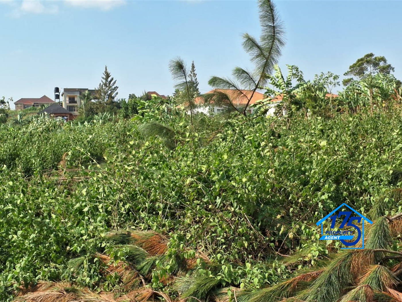 Agricultural Land for sale in Gayaza Wakiso