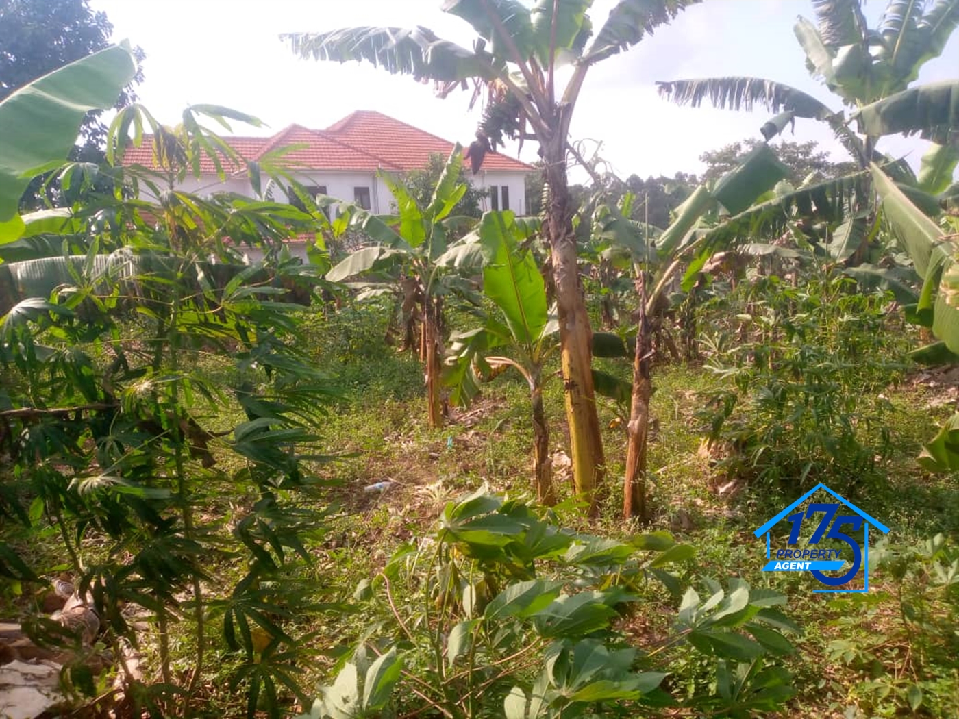 Residential Land for sale in Kira Wakiso