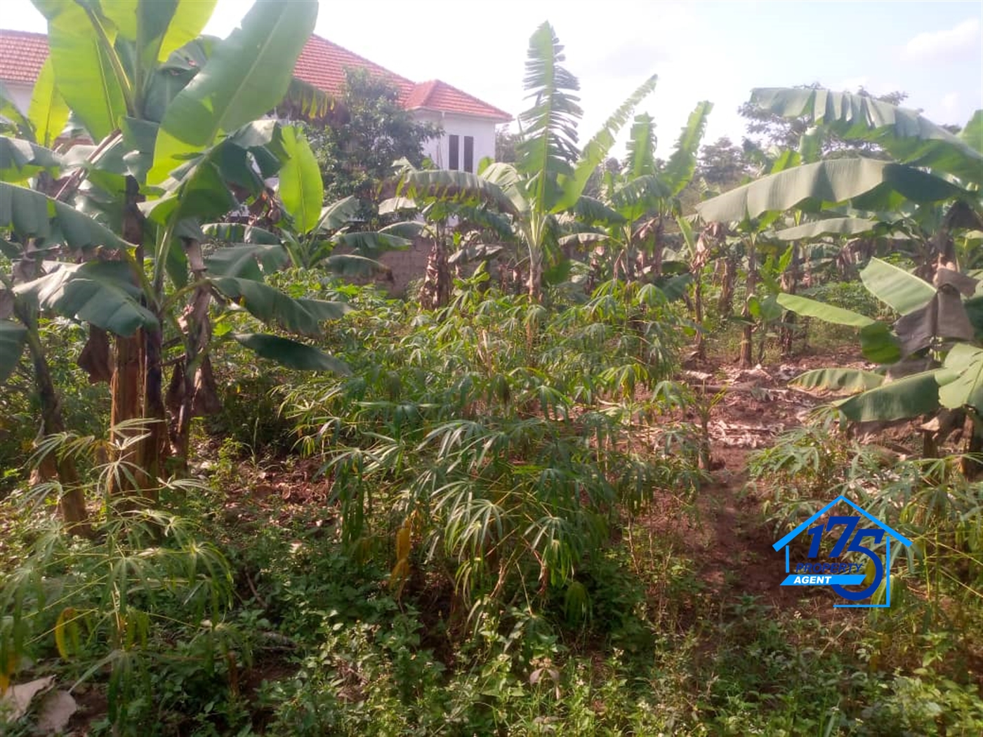 Residential Land for sale in Kira Wakiso