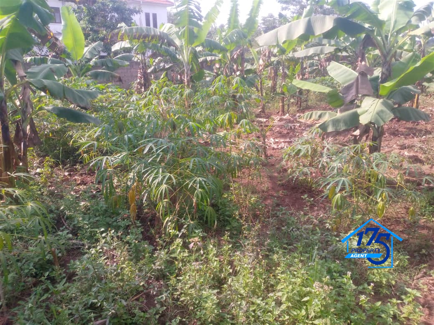 Residential Land for sale in Kira Wakiso