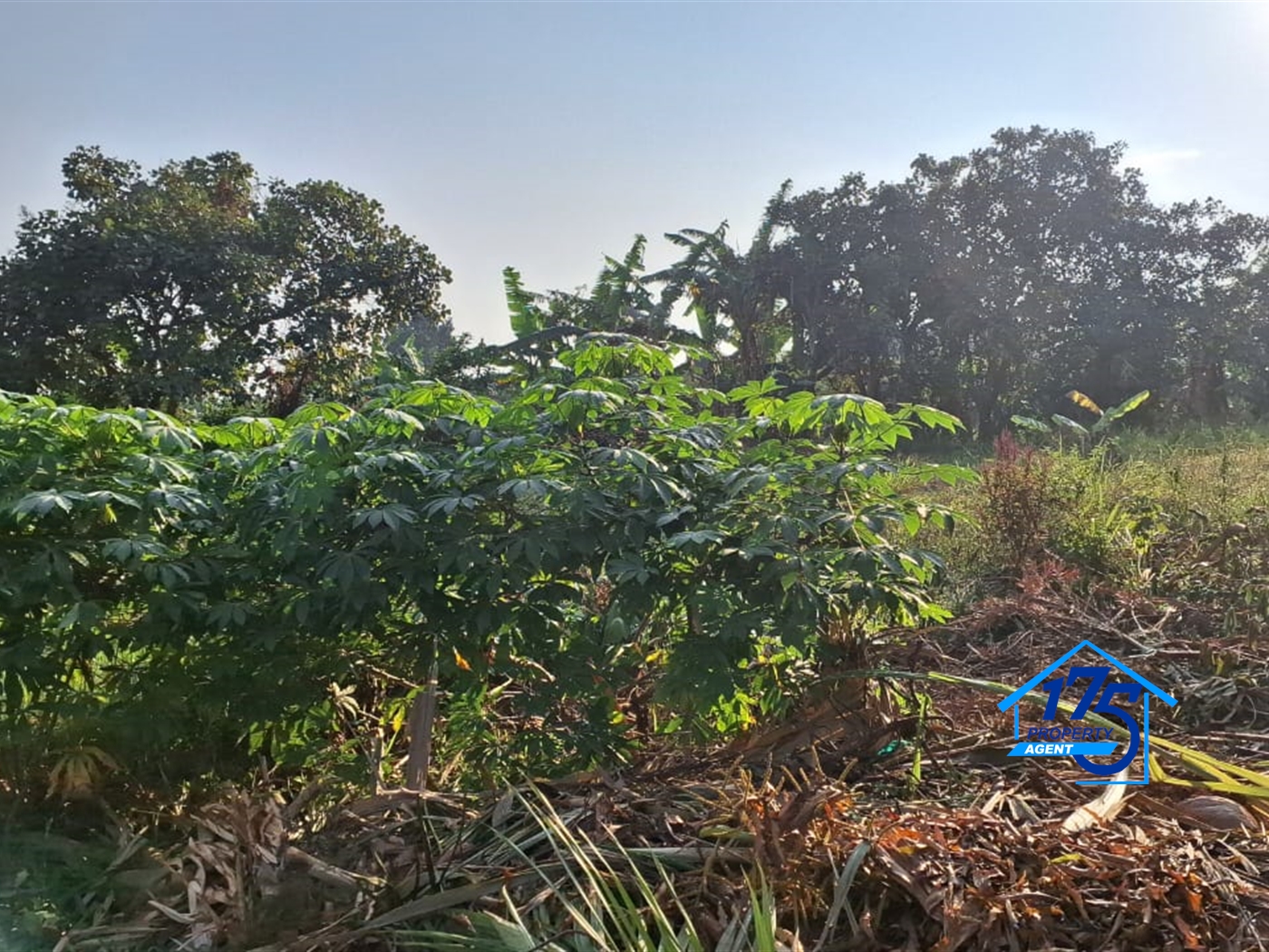 Residential Land for sale in Sonde Wakiso