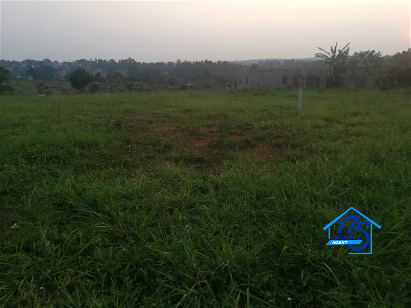 Residential Land for sale in Kiyunga Mukono