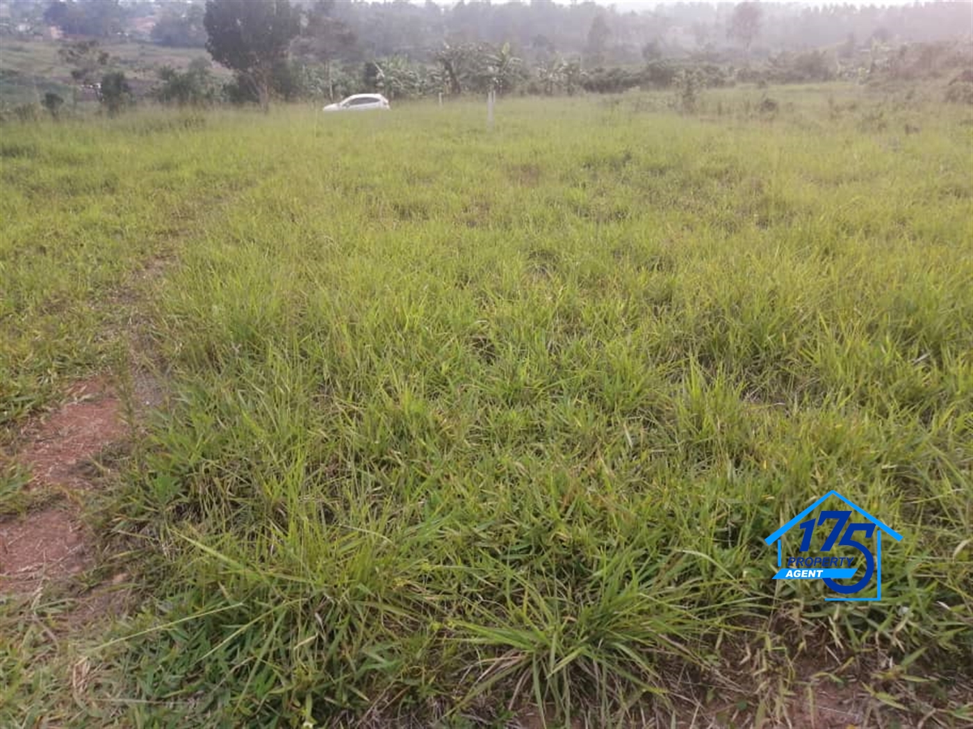 Residential Land for sale in Kiyunga Mukono