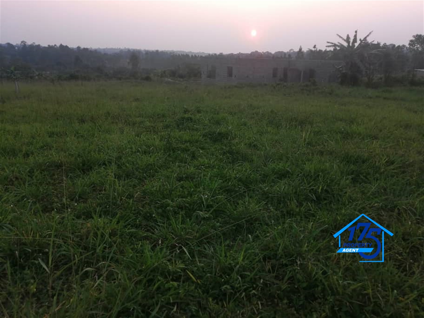 Residential Land for sale in Kiyunga Mukono