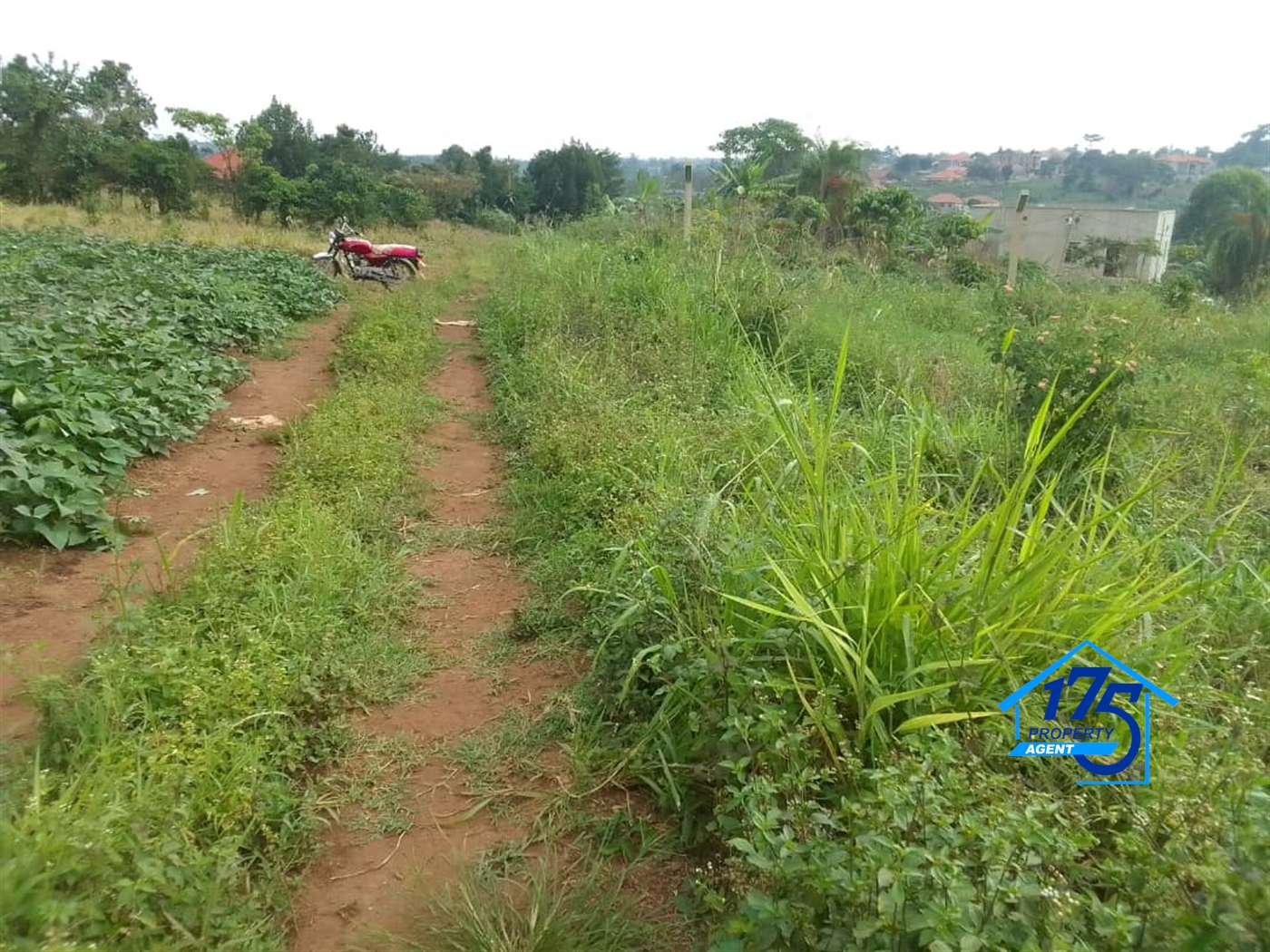 Residential Land for sale in Nabusugwe Wakiso