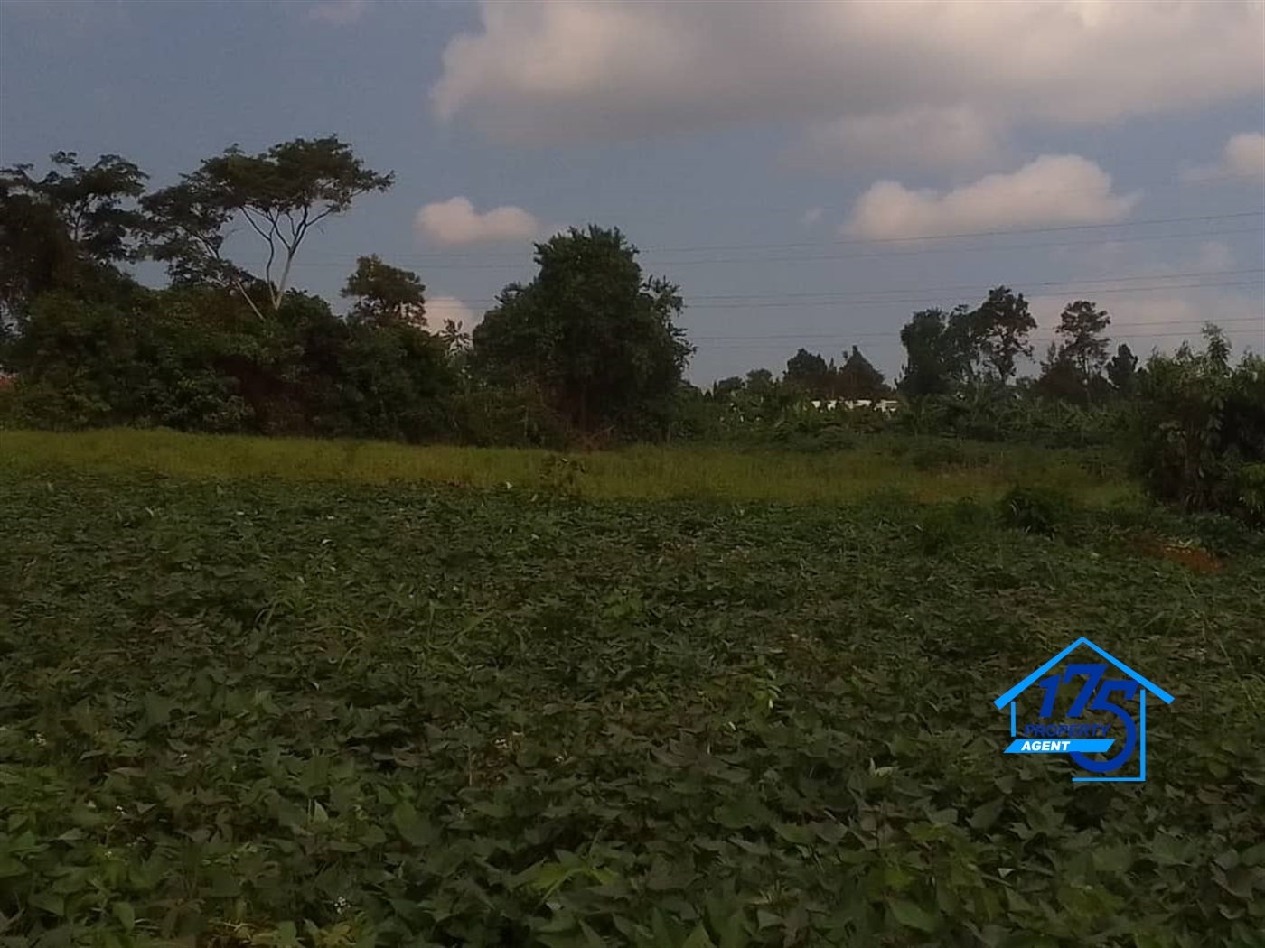 Residential Land for sale in Nabusugwe Wakiso