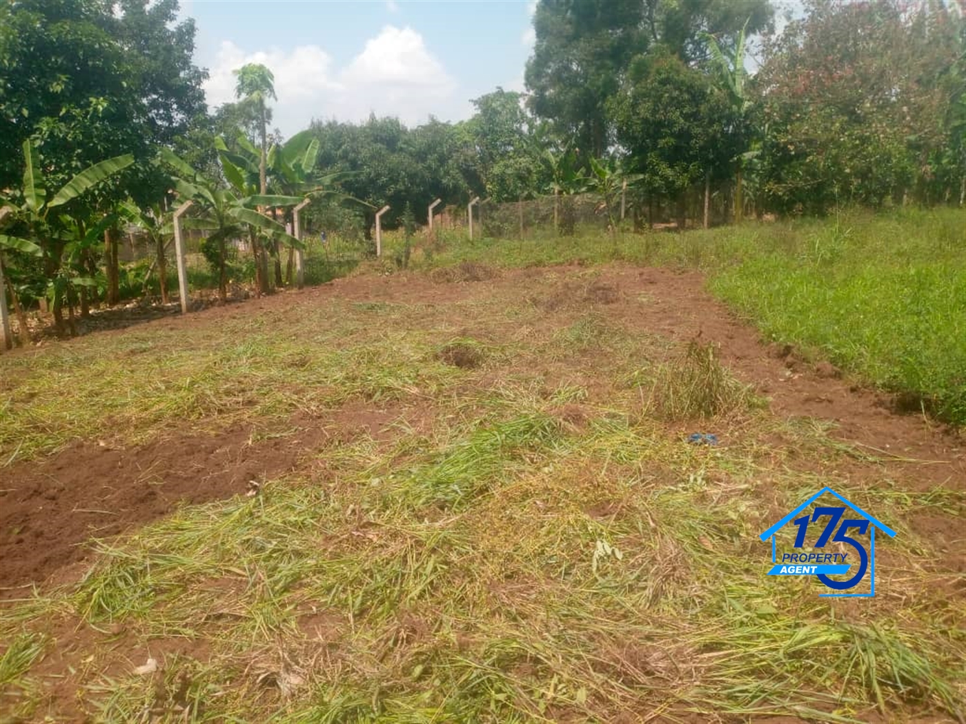 Residential Land for sale in Sonde Wakiso