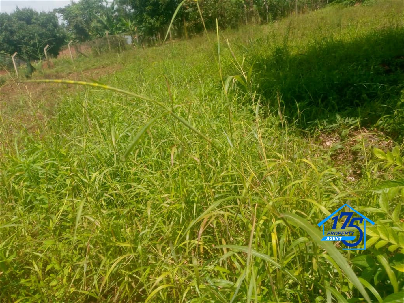 Residential Land for sale in Sonde Wakiso