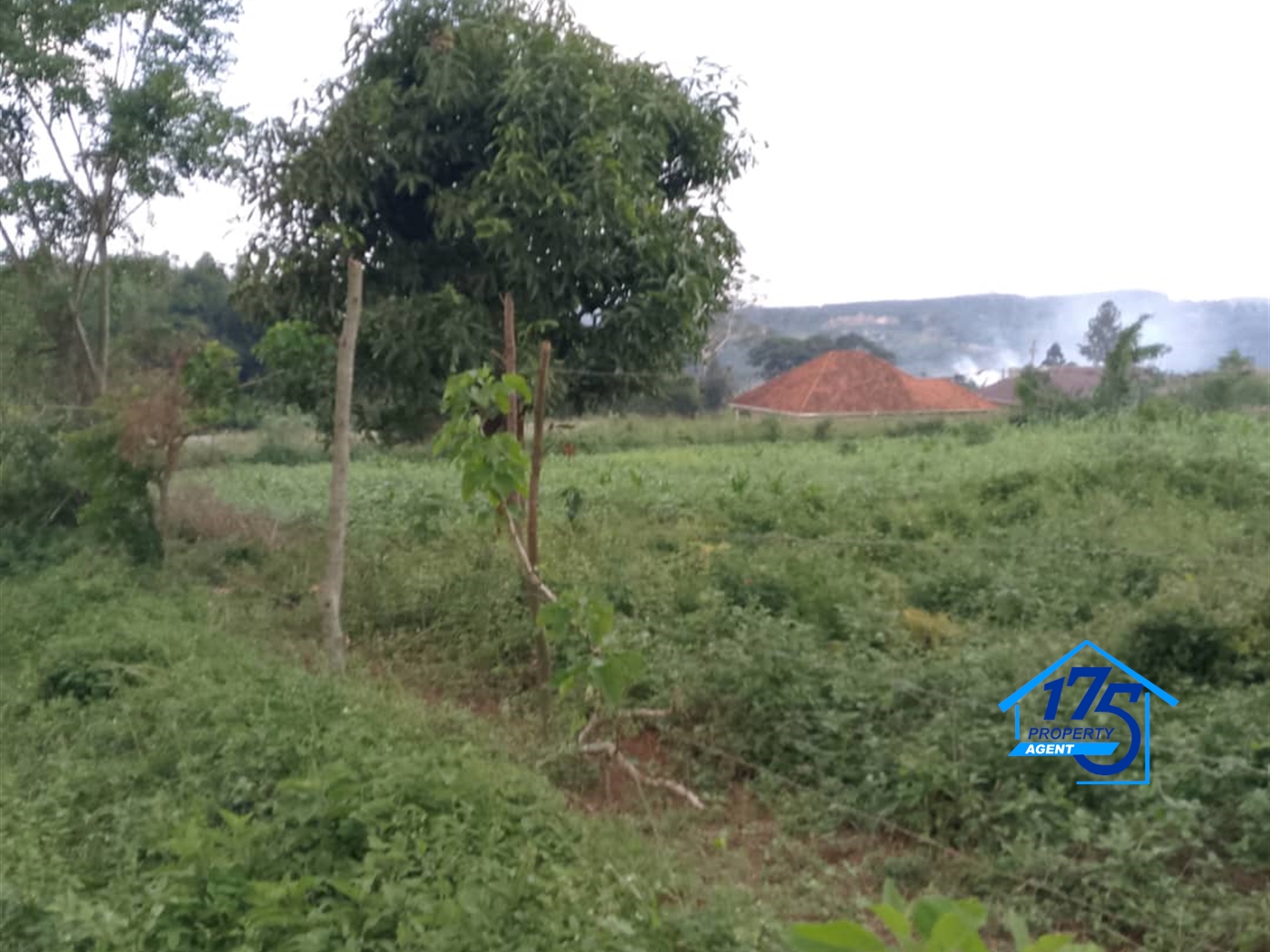 Residential Land for sale in Sonde Mukono