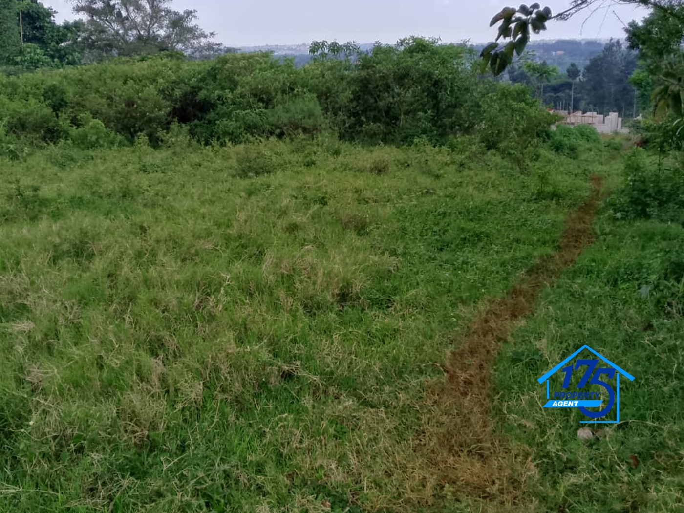 Residential Land for sale in Sonde Mukono