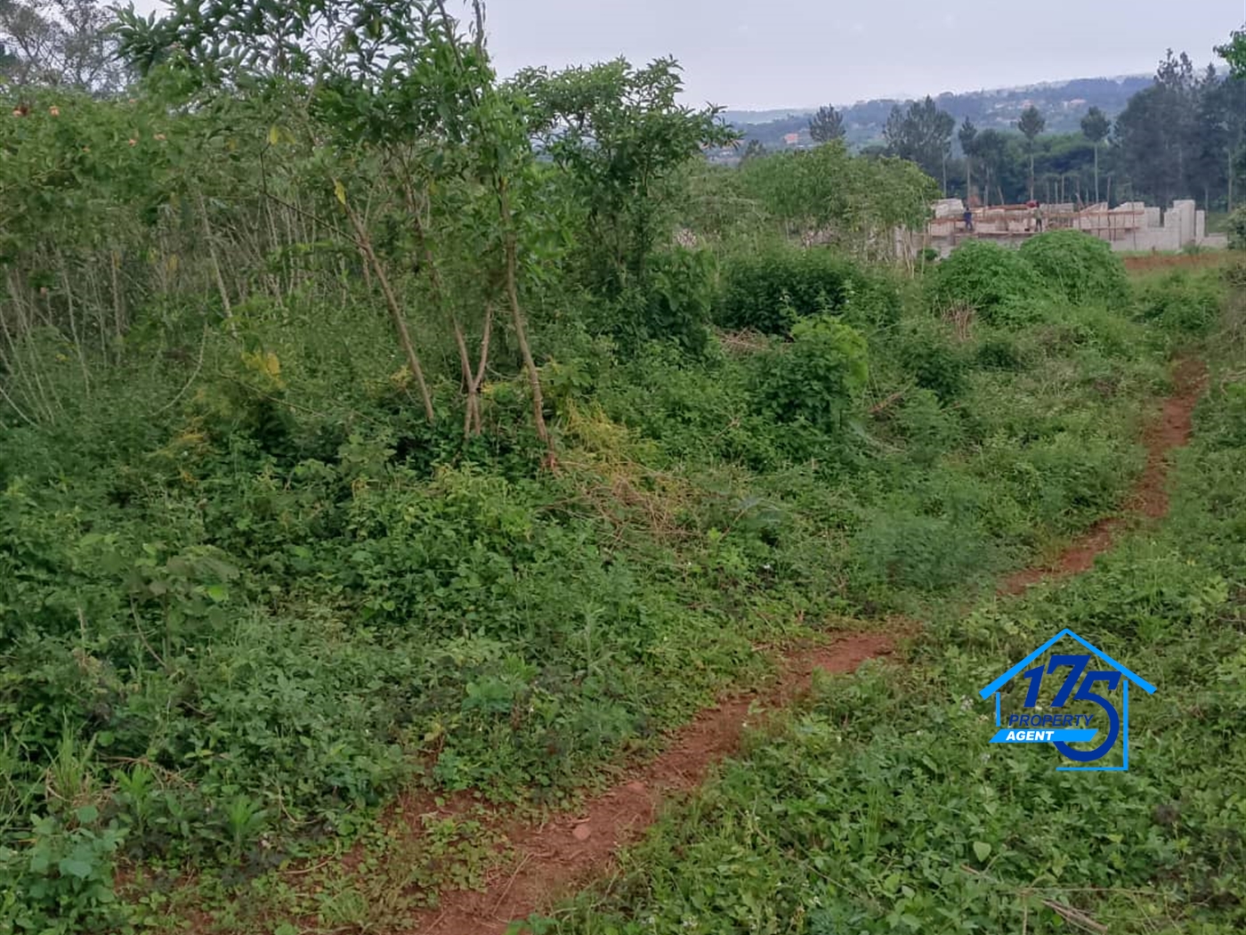 Residential Land for sale in Sonde Mukono