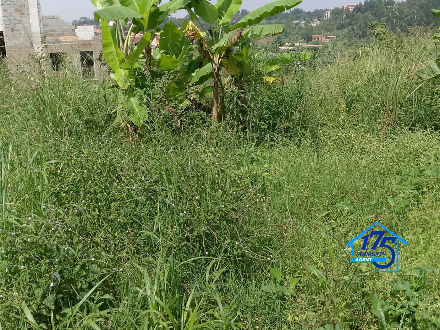 Residential Land for sale in Sonde Mukono