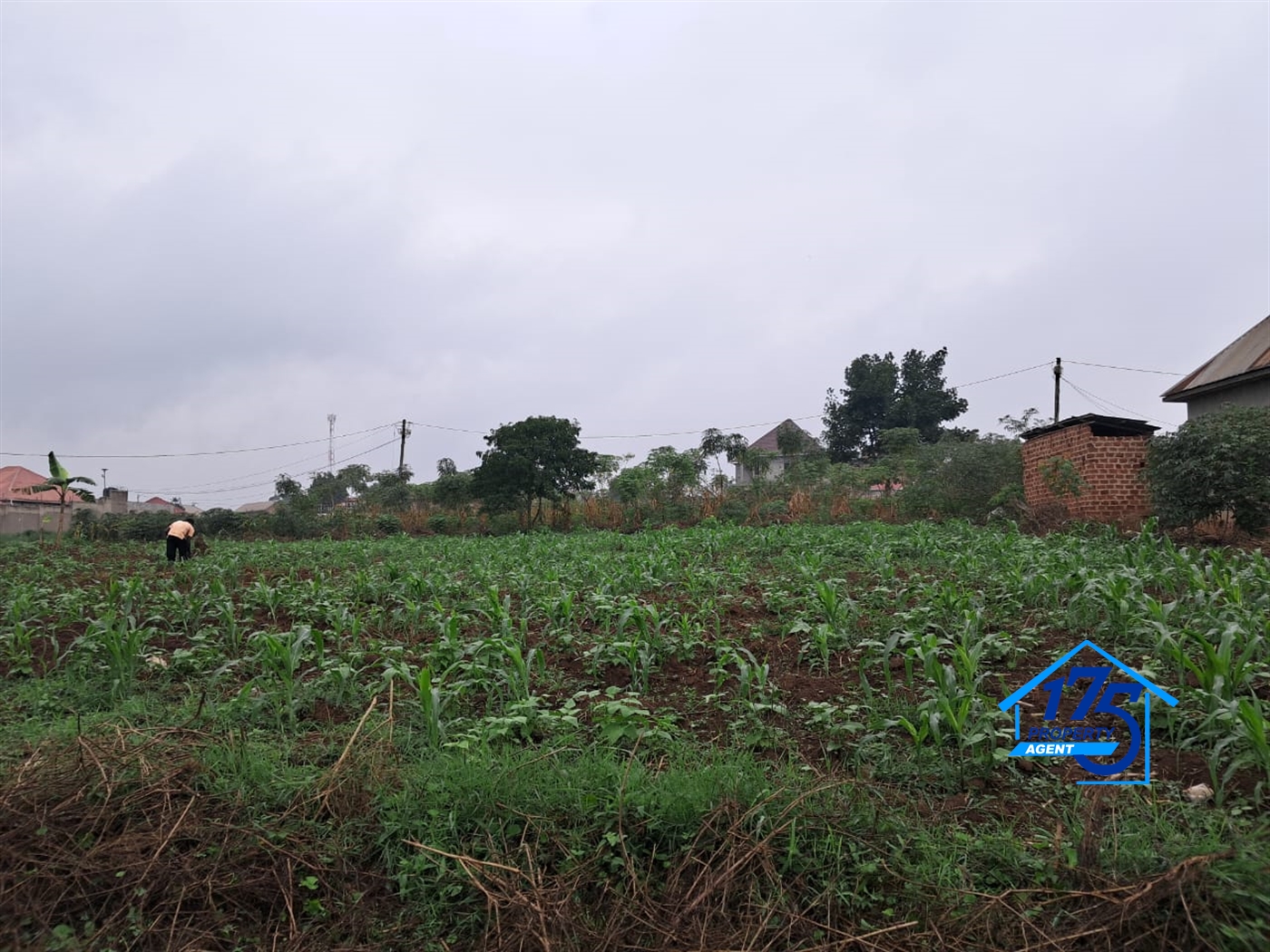 Residential Land for sale in Kawanda Wakiso