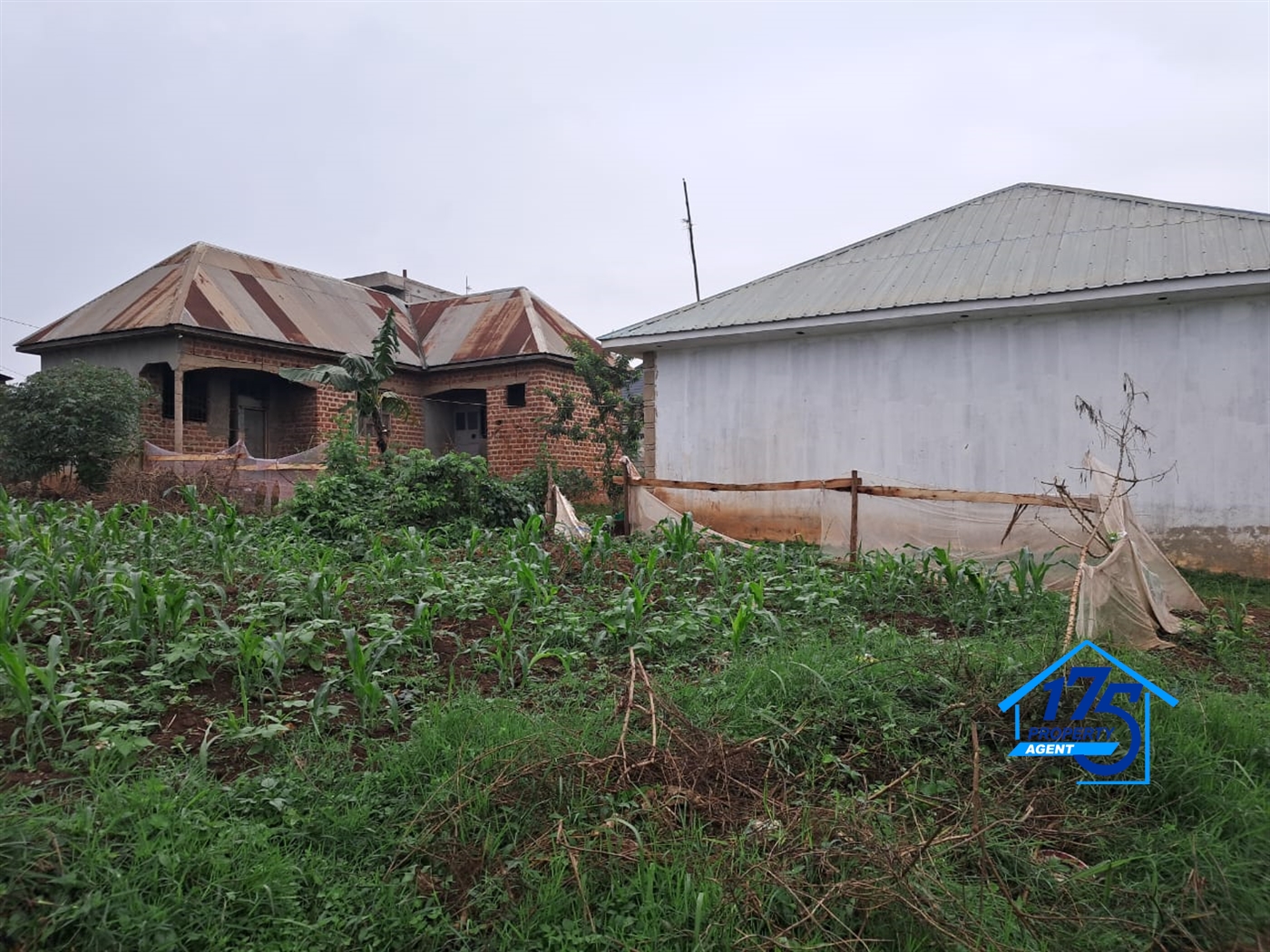 Residential Land for sale in Kawanda Wakiso