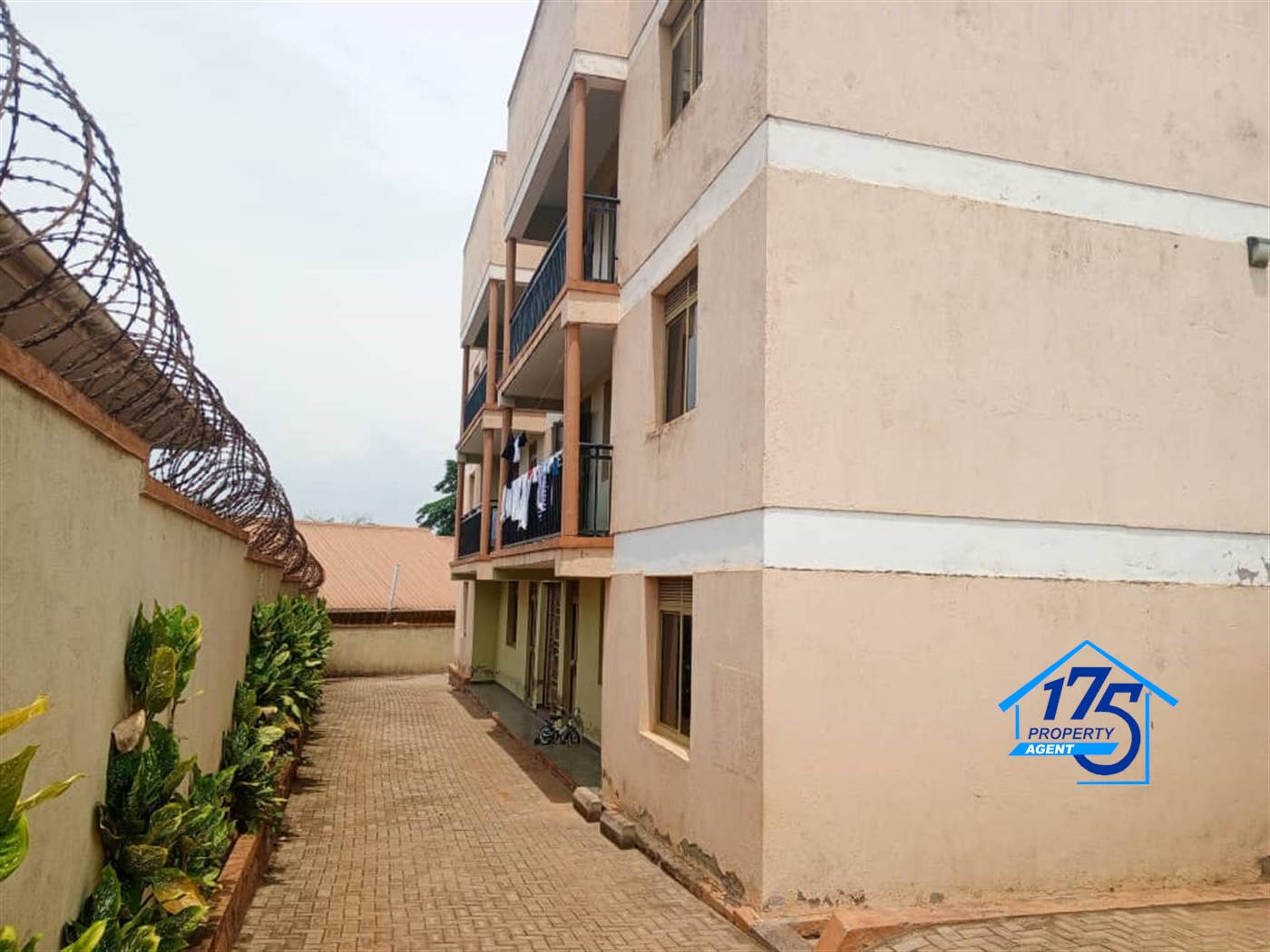 Apartment for rent in Namugongo Wakiso