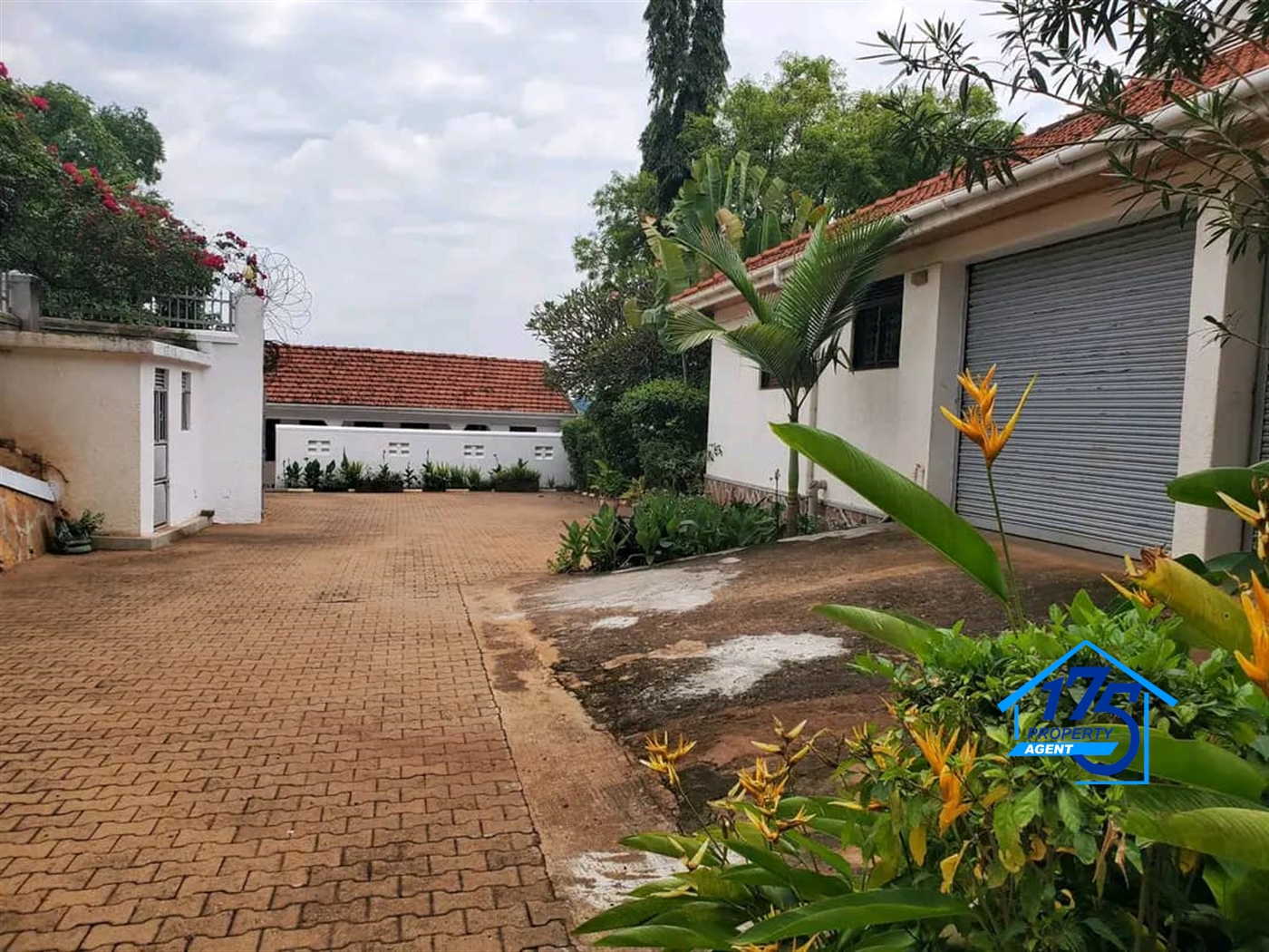 Bungalow for rent in Naguru Kampala