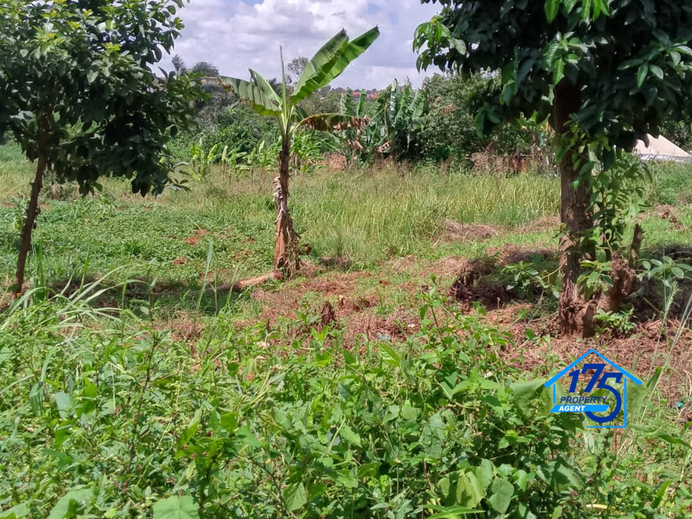 Residential Land for sale in Naalya Wakiso