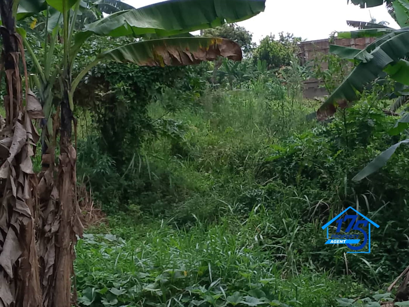 Residential Land for sale in Naalya Wakiso