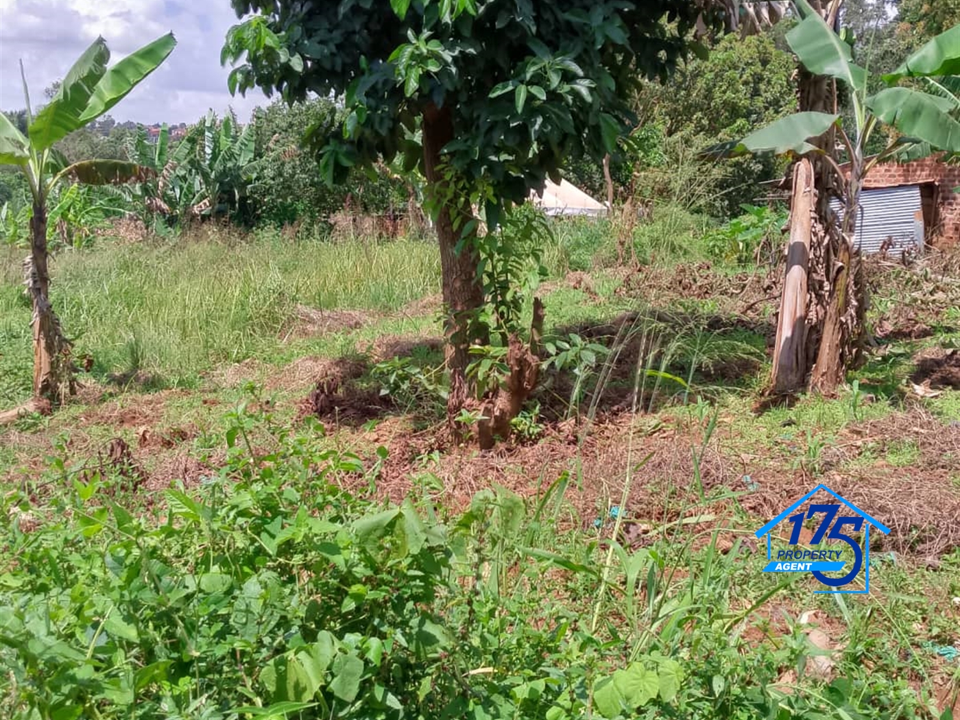 Residential Land for sale in Naalya Wakiso