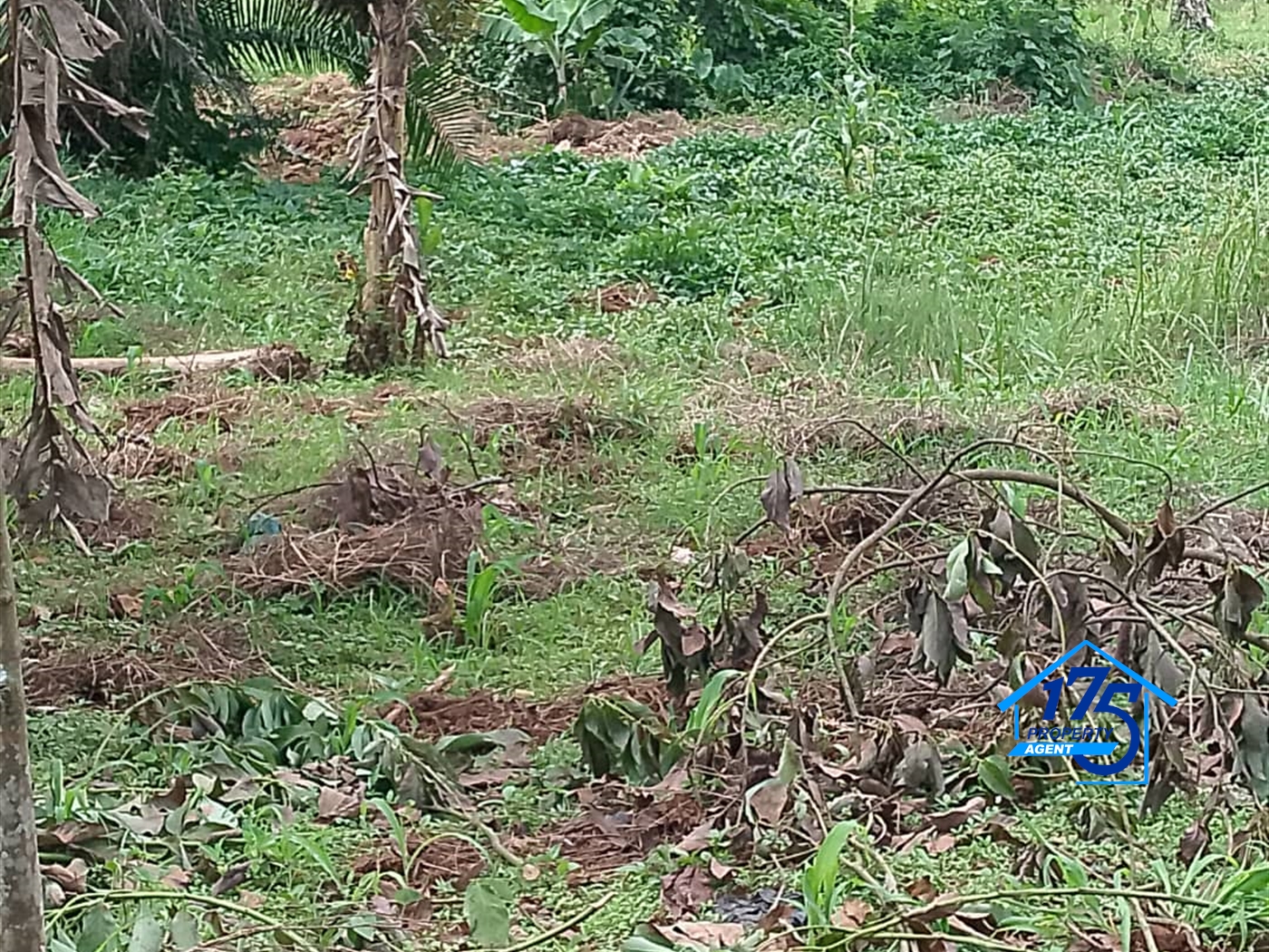 Residential Land for sale in Naalya Wakiso