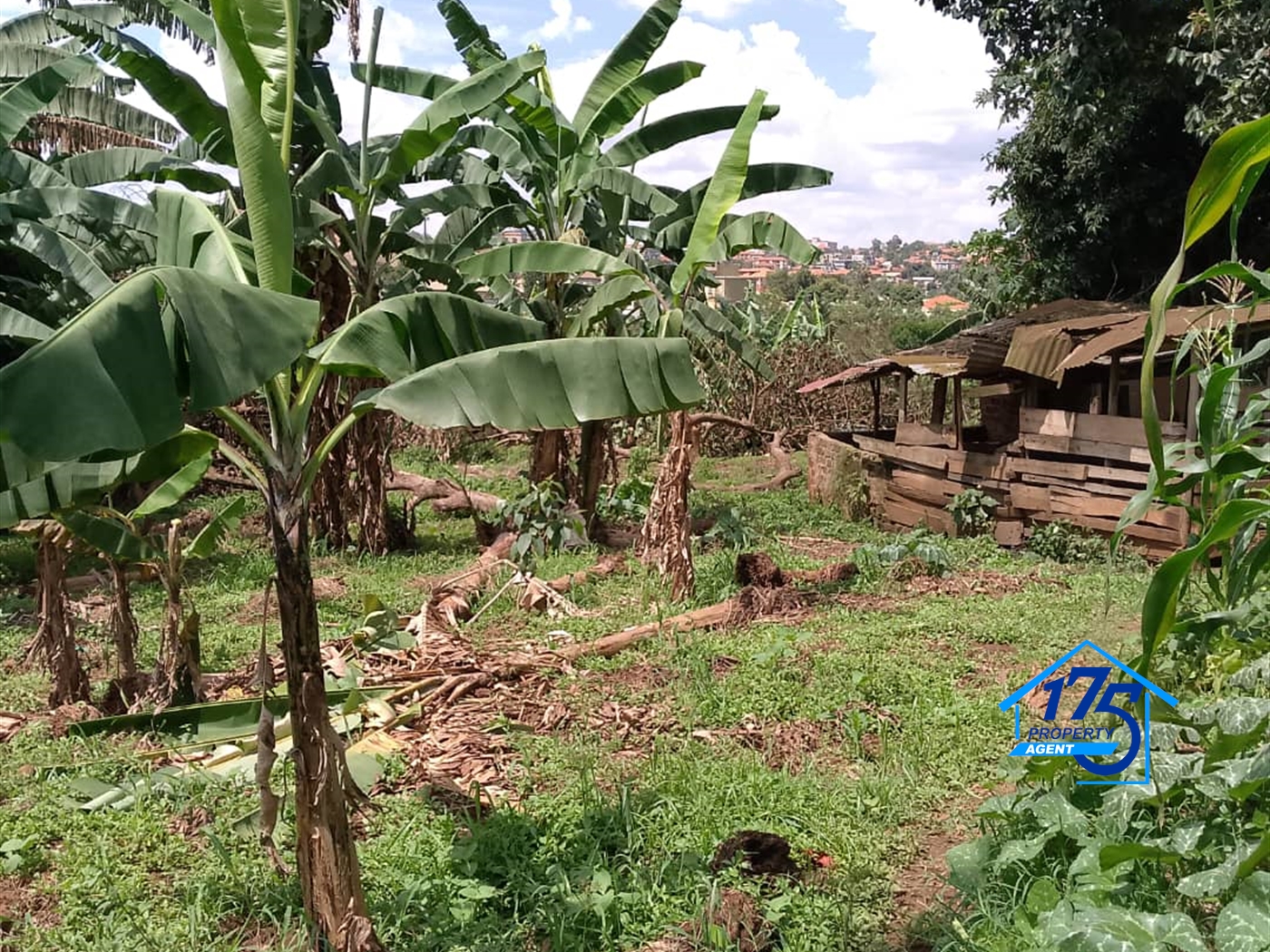 Residential Land for sale in Naalya Wakiso