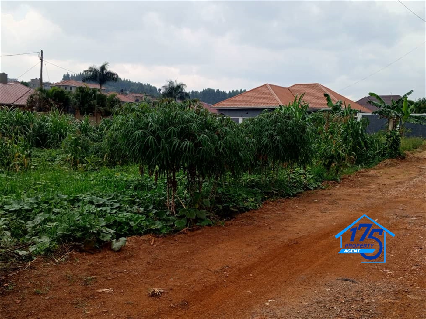 Residential Land for sale in Nabusugwe Wakiso