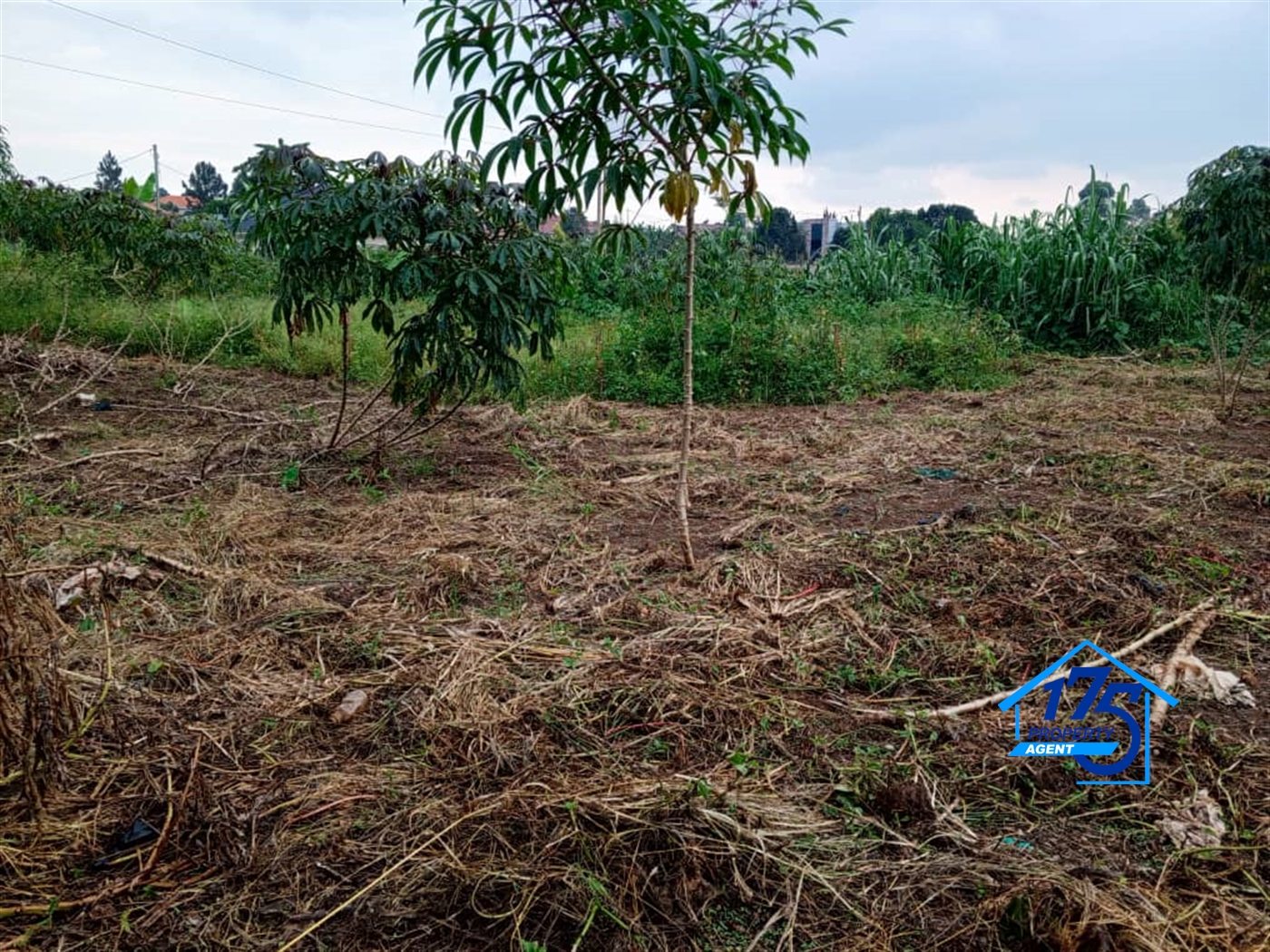 Residential Land for sale in Nabusugwe Wakiso