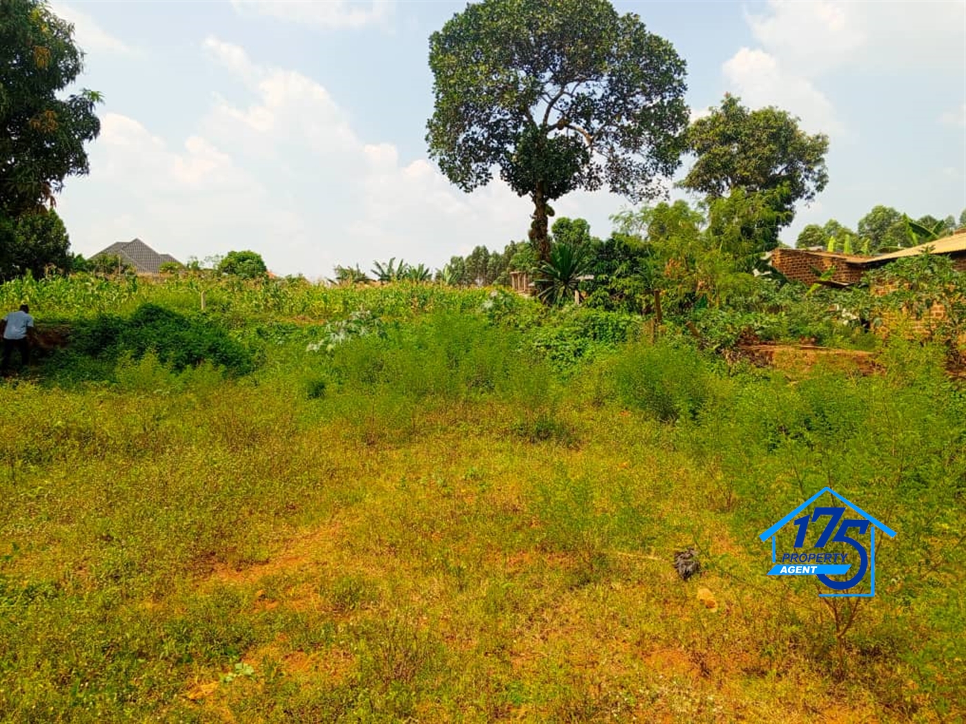 Commercial Land for sale in Bukeelele Mukono