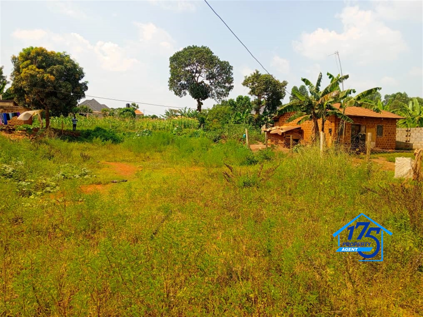 Commercial Land for sale in Bukeelele Mukono