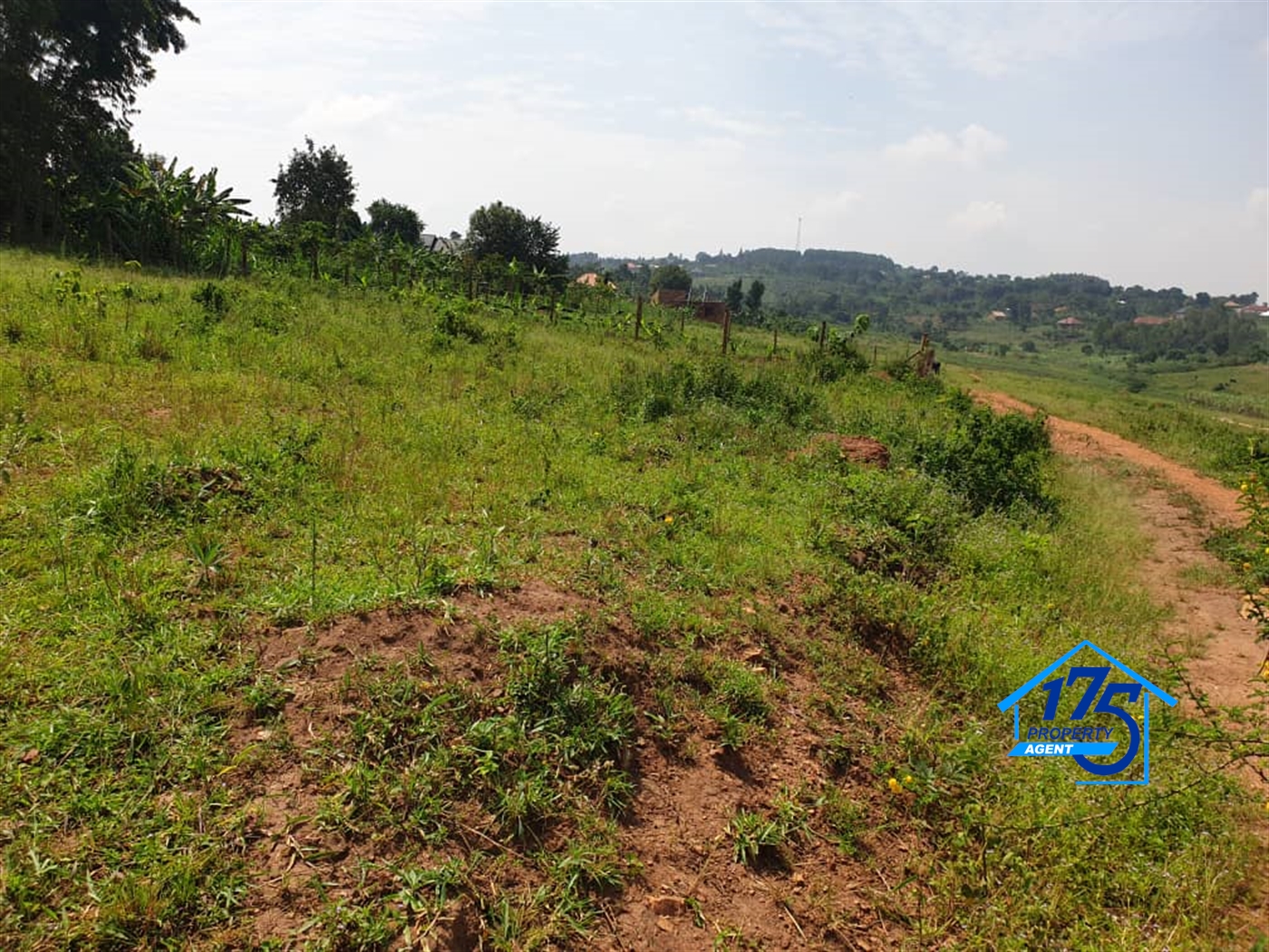 Residential Land for sale in Kiwenda Wakiso