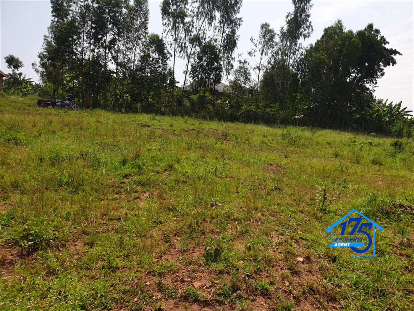 Residential Land for sale in Kiwenda Wakiso