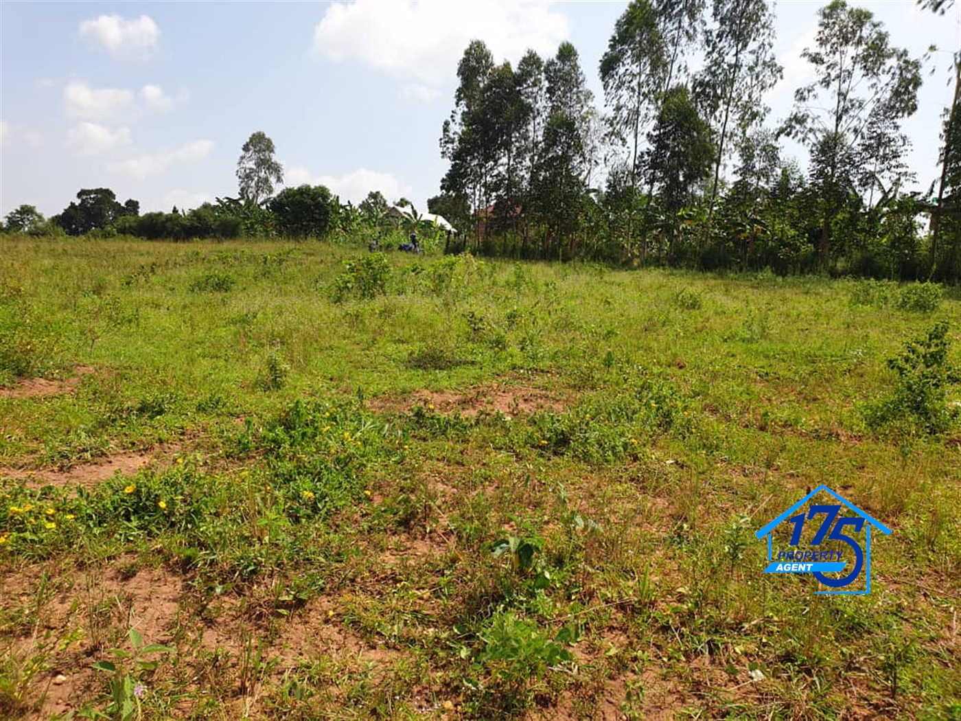 Residential Land for sale in Kiwenda Wakiso