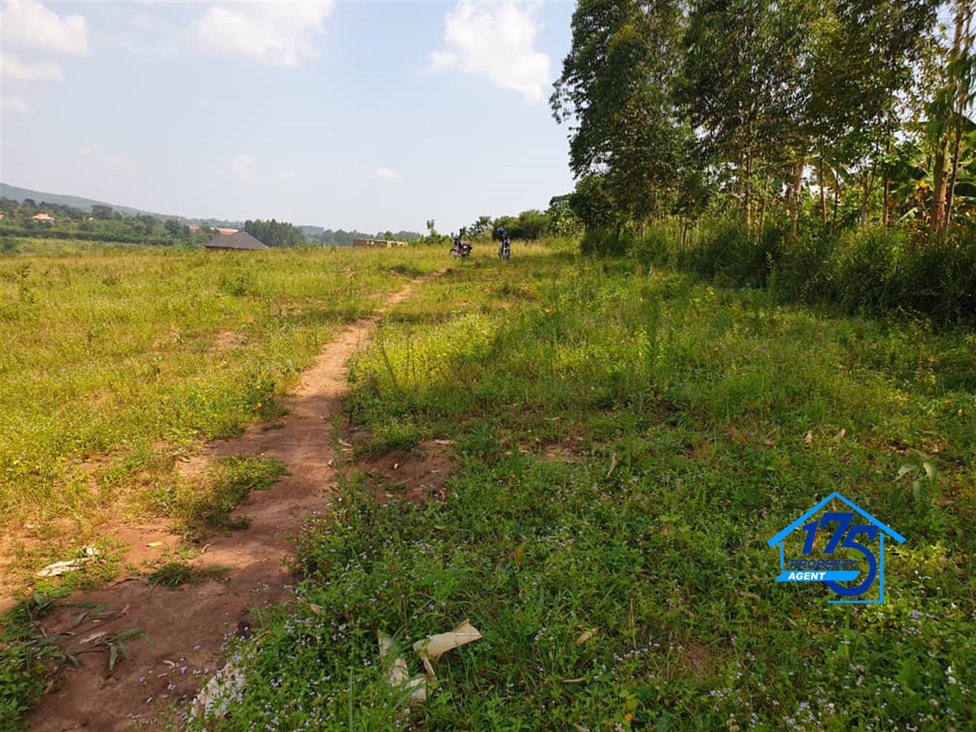 Residential Land for sale in Kiwenda Wakiso