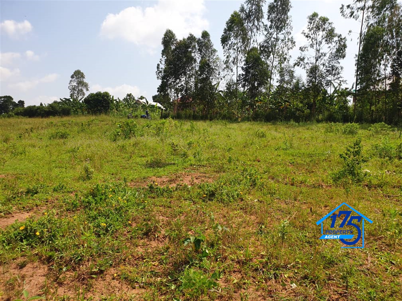 Residential Land for sale in Kiwenda Wakiso