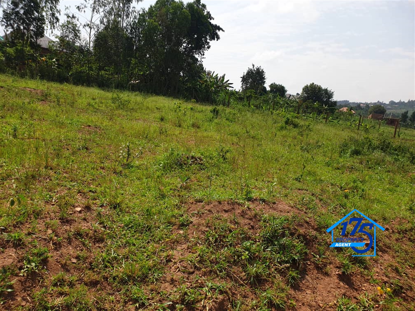 Residential Land for sale in Kiwenda Wakiso