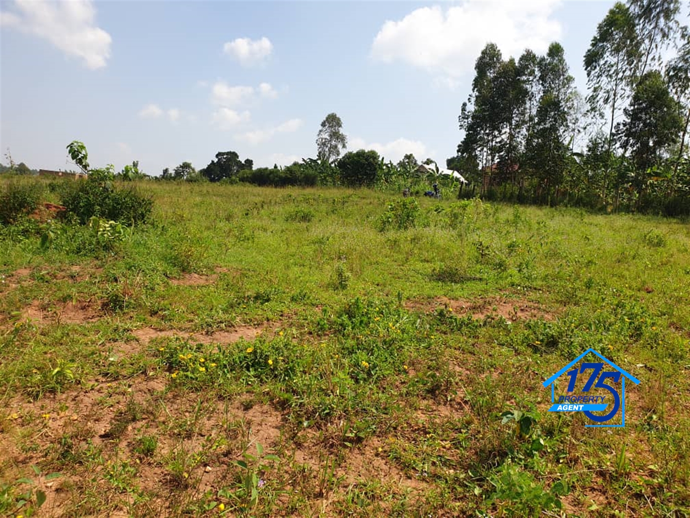 Residential Land for sale in Kiwenda Wakiso