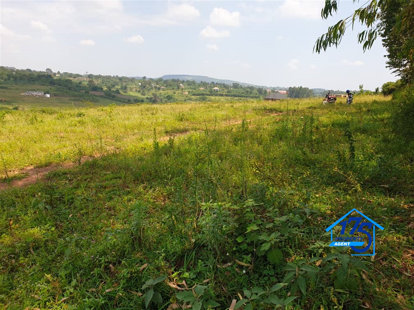 Residential Land for sale in Kiwenda Wakiso