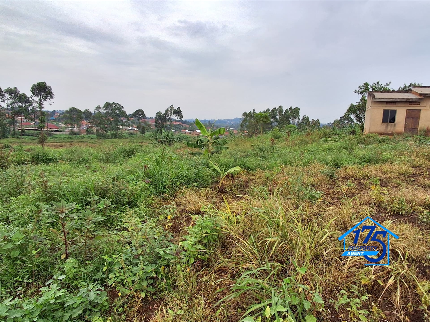 Residential Land for sale in Gayaza Wakiso