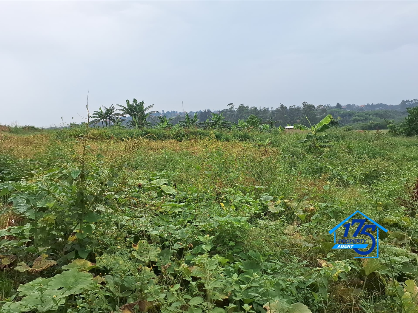 Residential Land for sale in Gayaza Wakiso