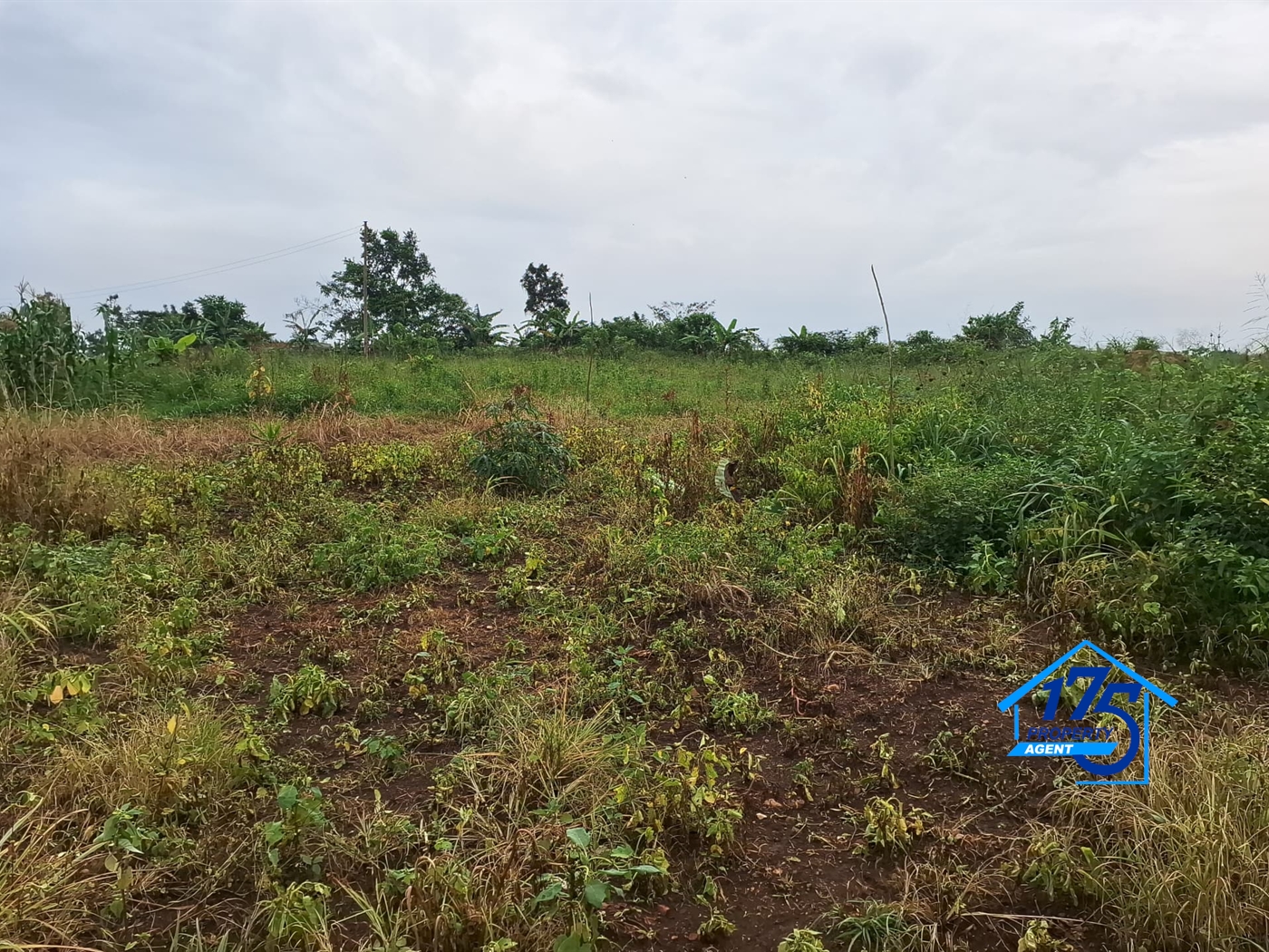 Residential Land for sale in Gayaza Wakiso