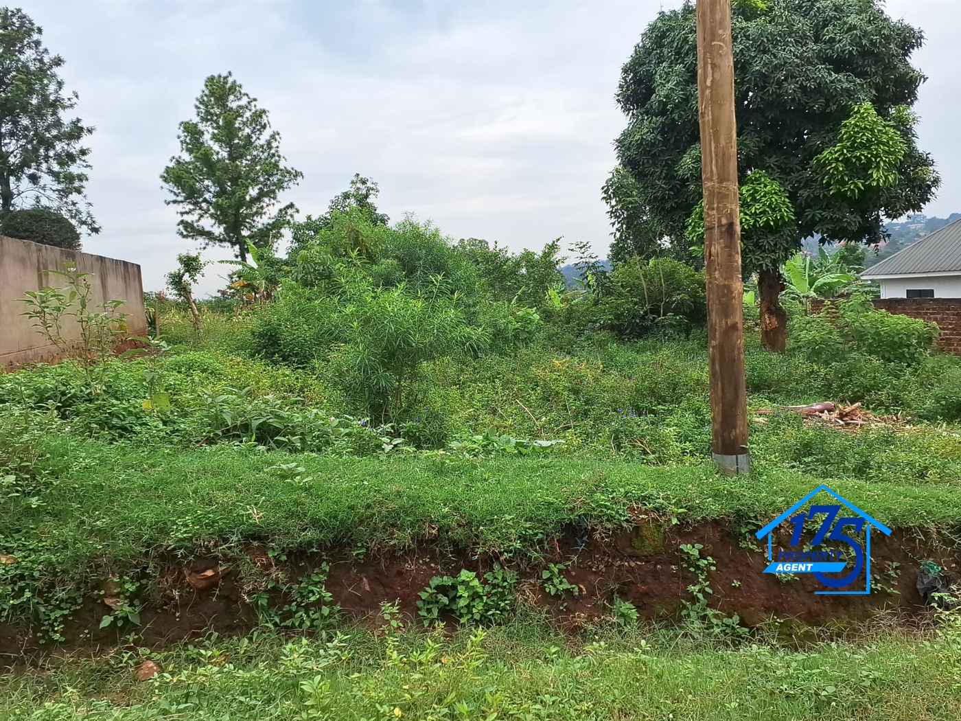 Residential Land for sale in Gayaza Wakiso