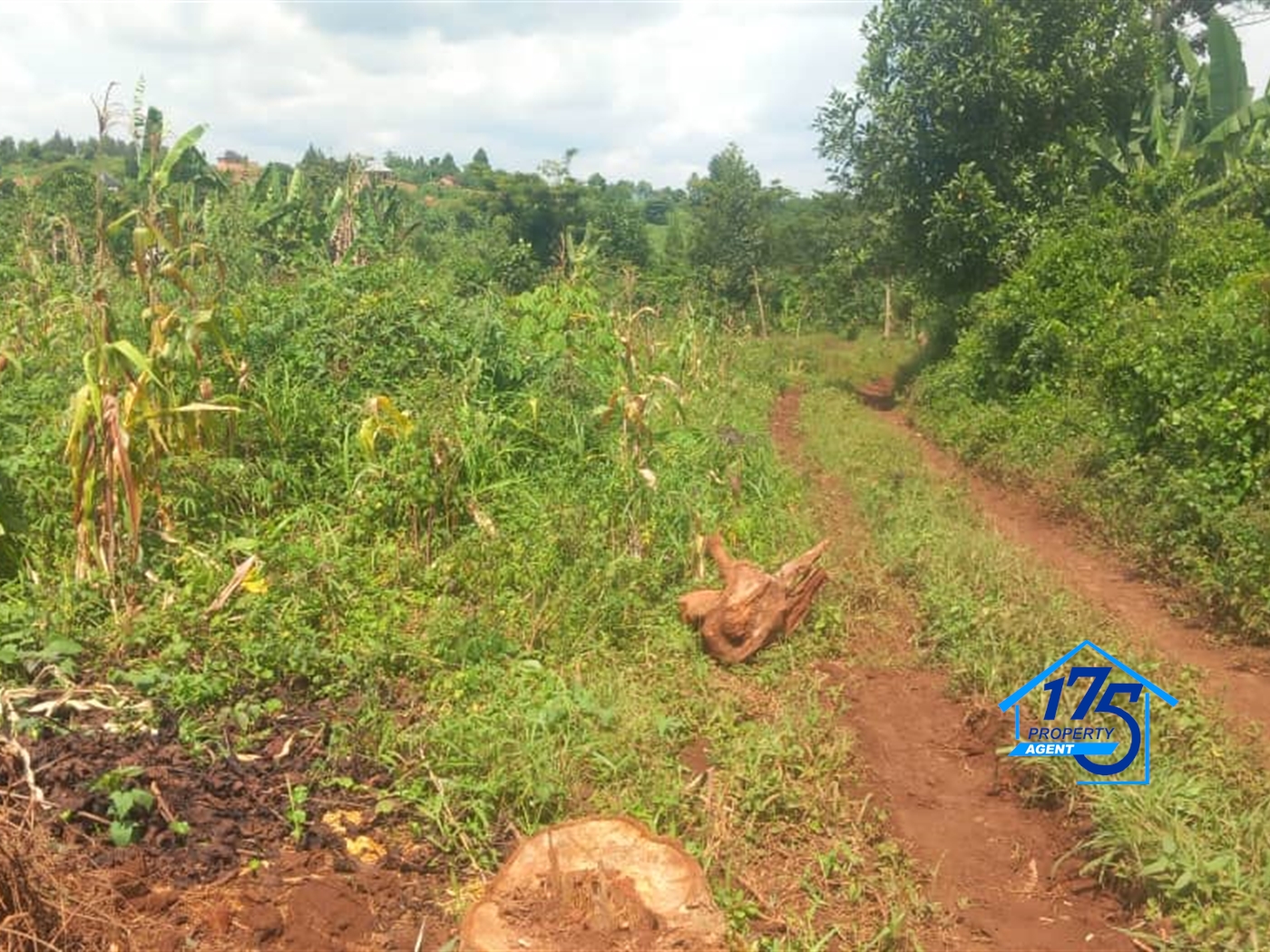 Residential Land for sale in Kisoga Mukono