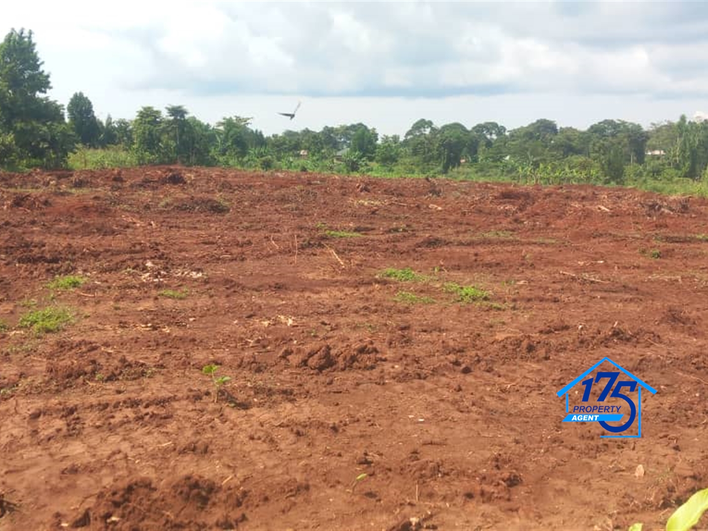 Residential Land for sale in Kisoga Mukono