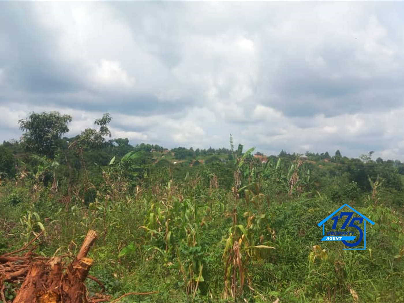 Residential Land for sale in Kisoga Mukono