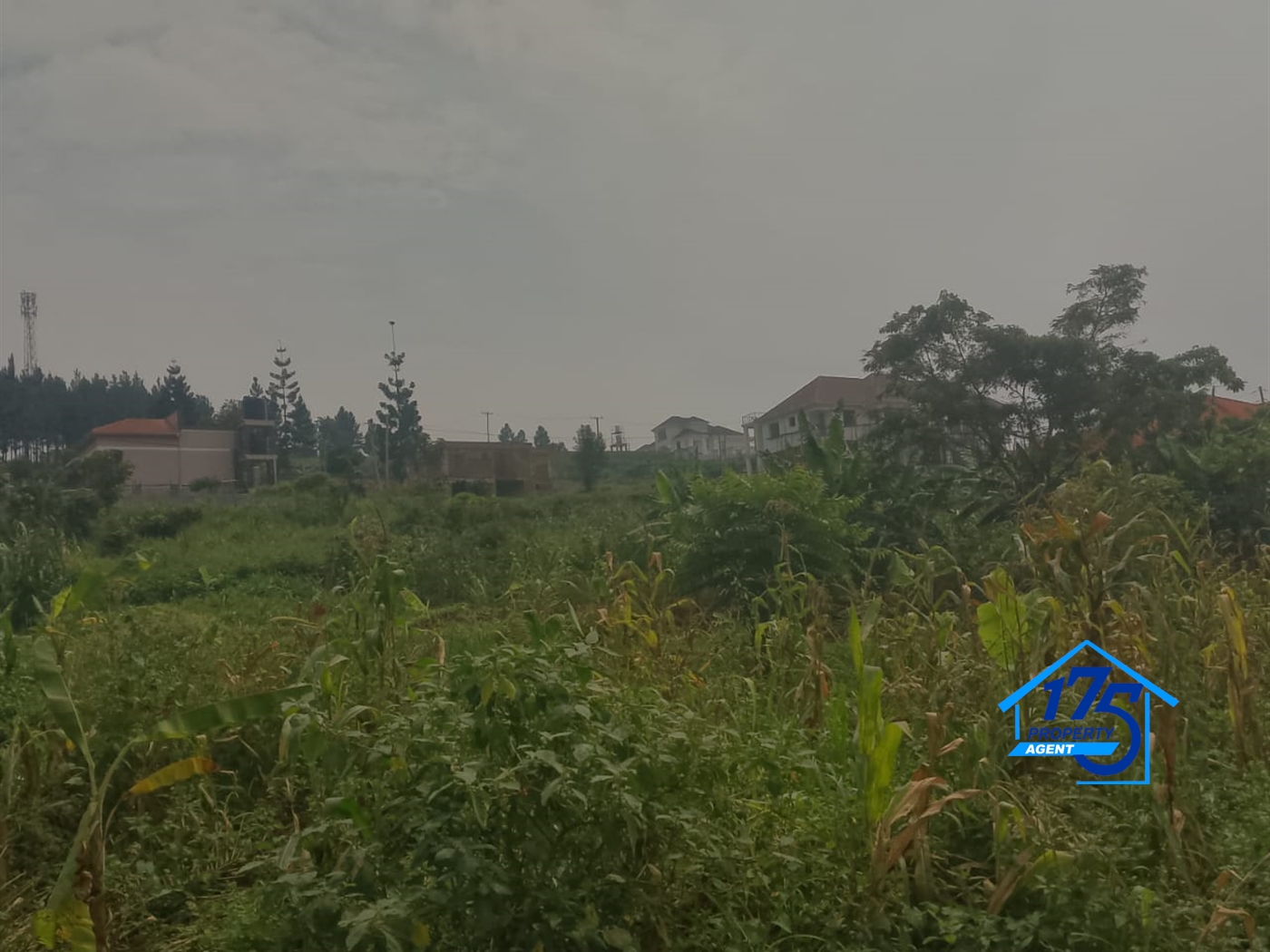 Residential Land for sale in Nabusugwe Wakiso