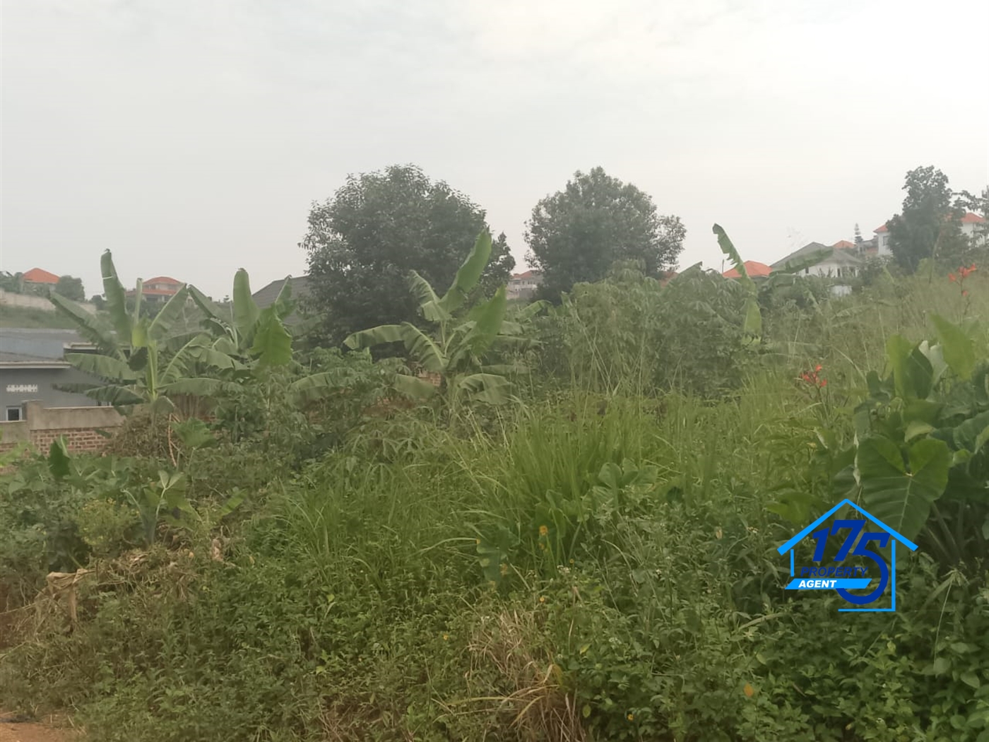 Residential Land for sale in Nabusugwe Wakiso