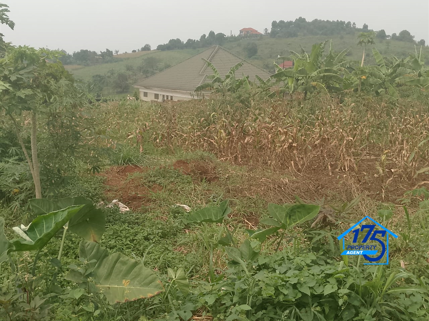 Residential Land for sale in Nabusugwe Wakiso