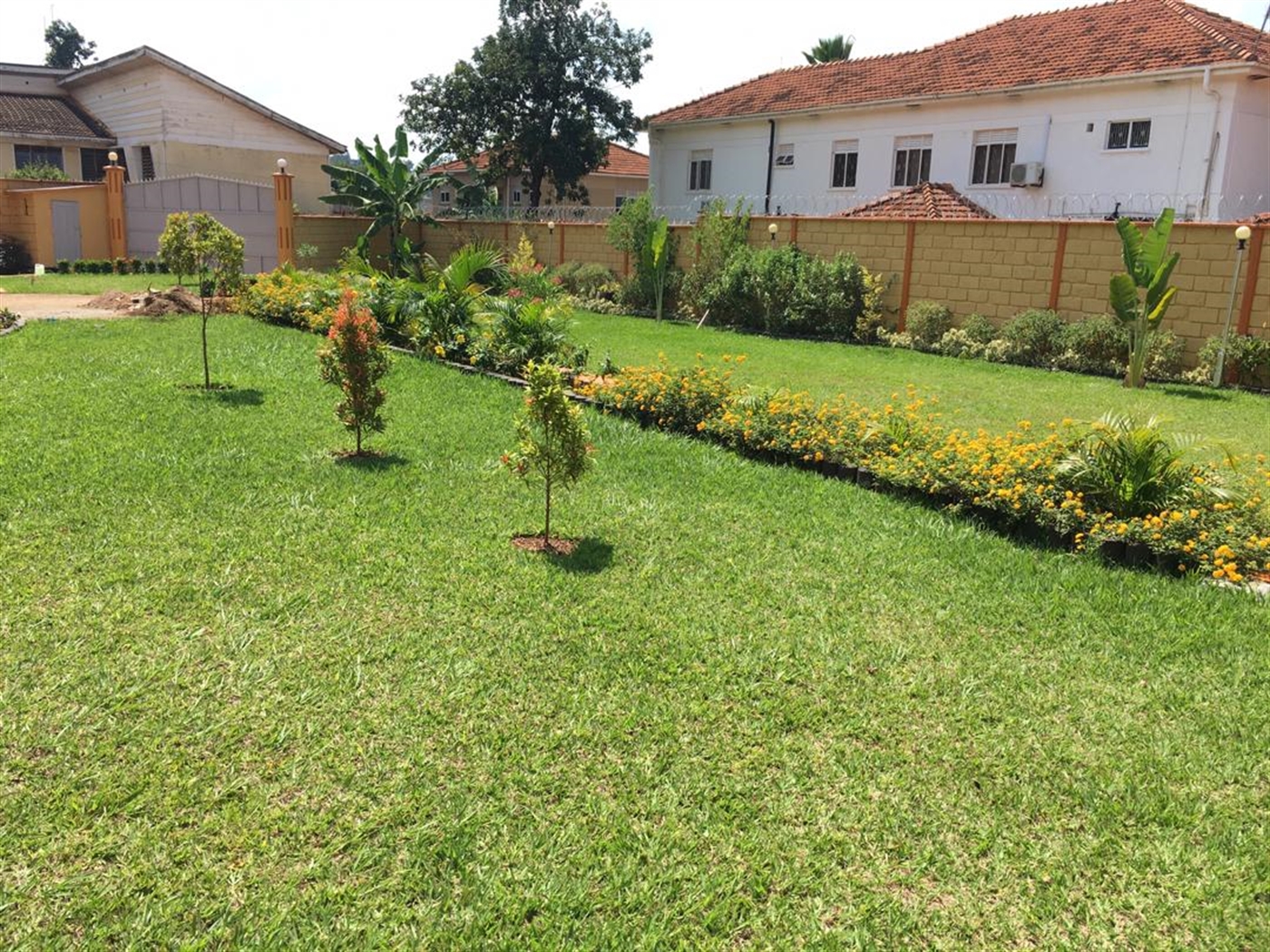 Mansion for rent in Muyenga Kampala